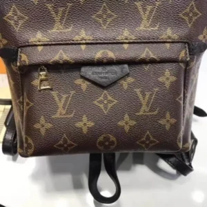 replica-aaa-louis-vuitton-monogram-canvas-palm-springs-backpack-pm-m41560