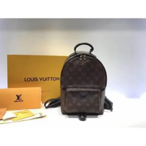 replica-aaa-louis-vuitton-monogram-canvas-palm-springs-backpack-pm-m41560